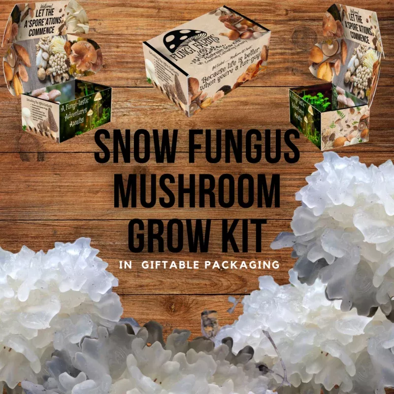 Snow Fungus Mushroom Growing Kit