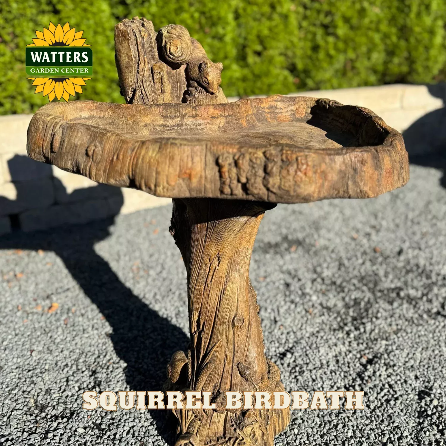 SQUIRREL BIRDBATH