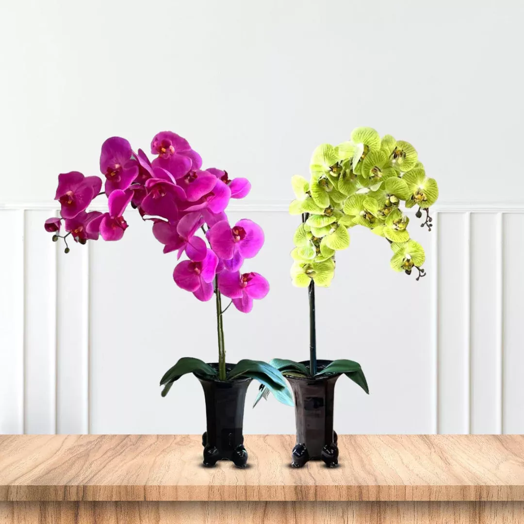 Stunning Artificial Orchids in Black Ceramic Legged Pot – Elegant Gift