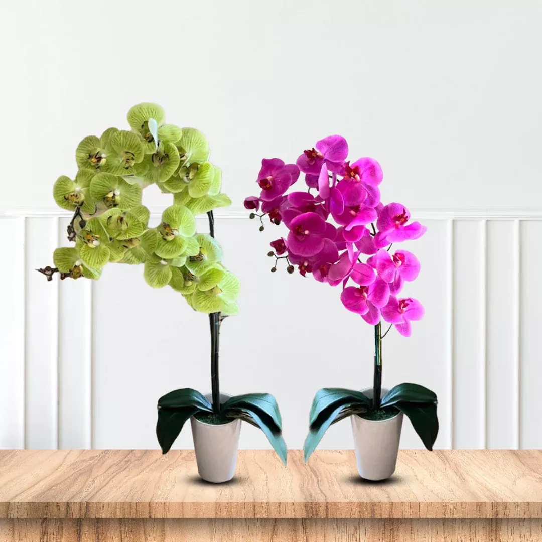 Stunning Artificial Orchids in White Conical Pot – Elegant White Décor Gift