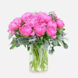 Stunning Pink Peonies
