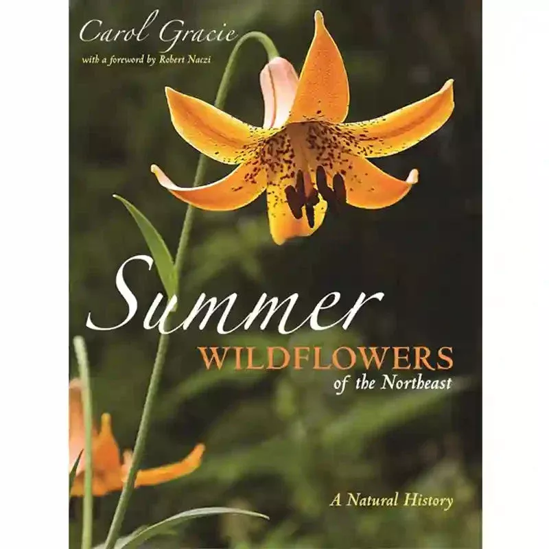 Summer Wildflowers of the Northeast: A Natural History