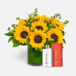 Sun Shower + Apotheke Room Spray