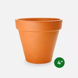Terra Cotta Pot - 4''