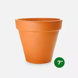 Terra Cotta Pot – 7”