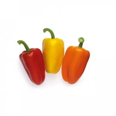 Trirosso F1Mini Red Pepper