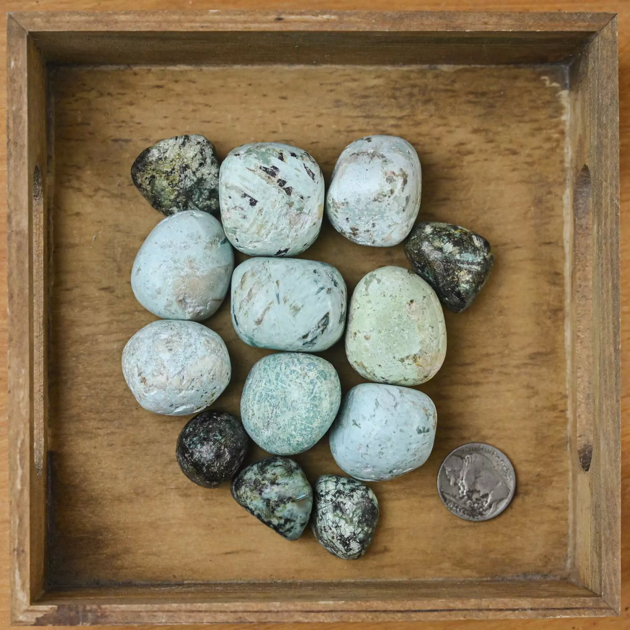 Tumbled African Turquoise (1 Stone)