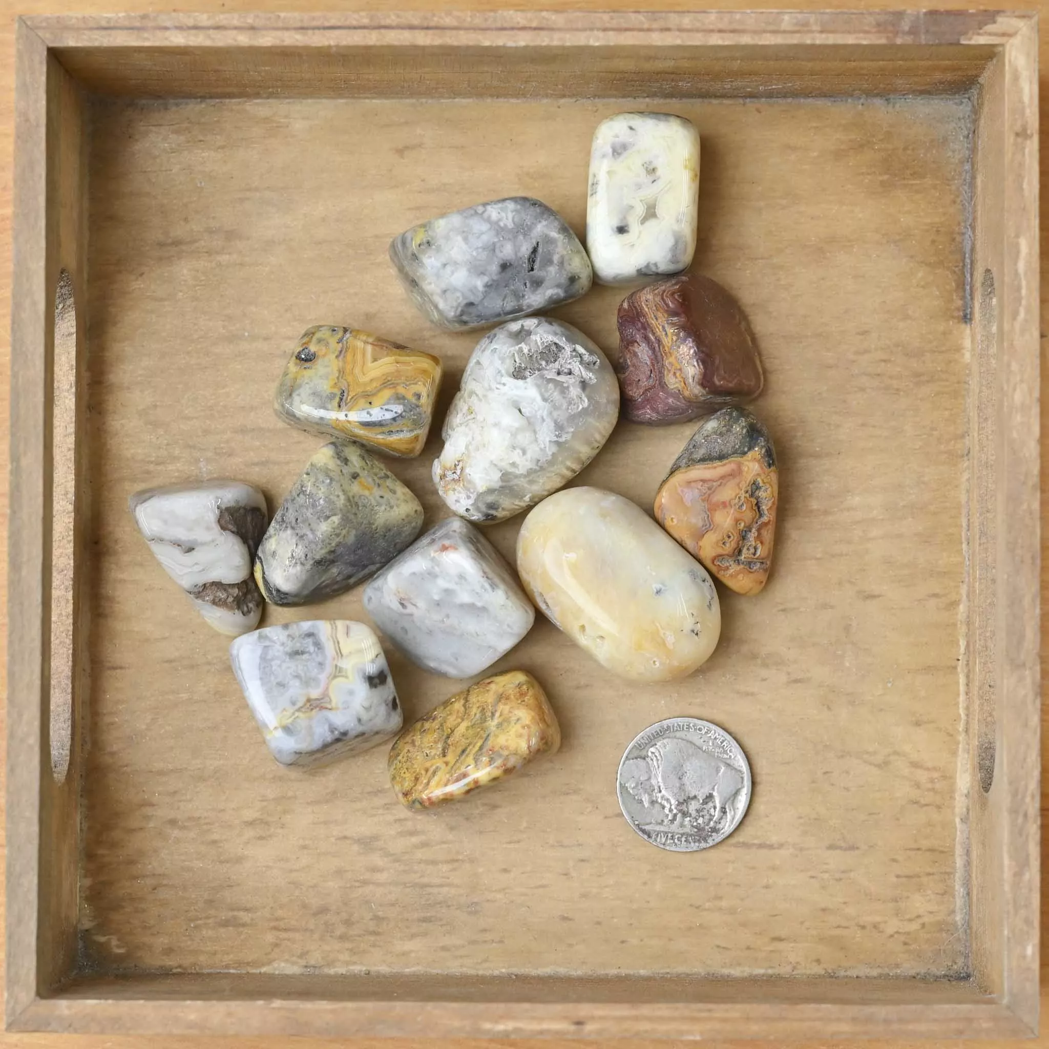 Tumbled Crazy Lace Agate (1 Stone)