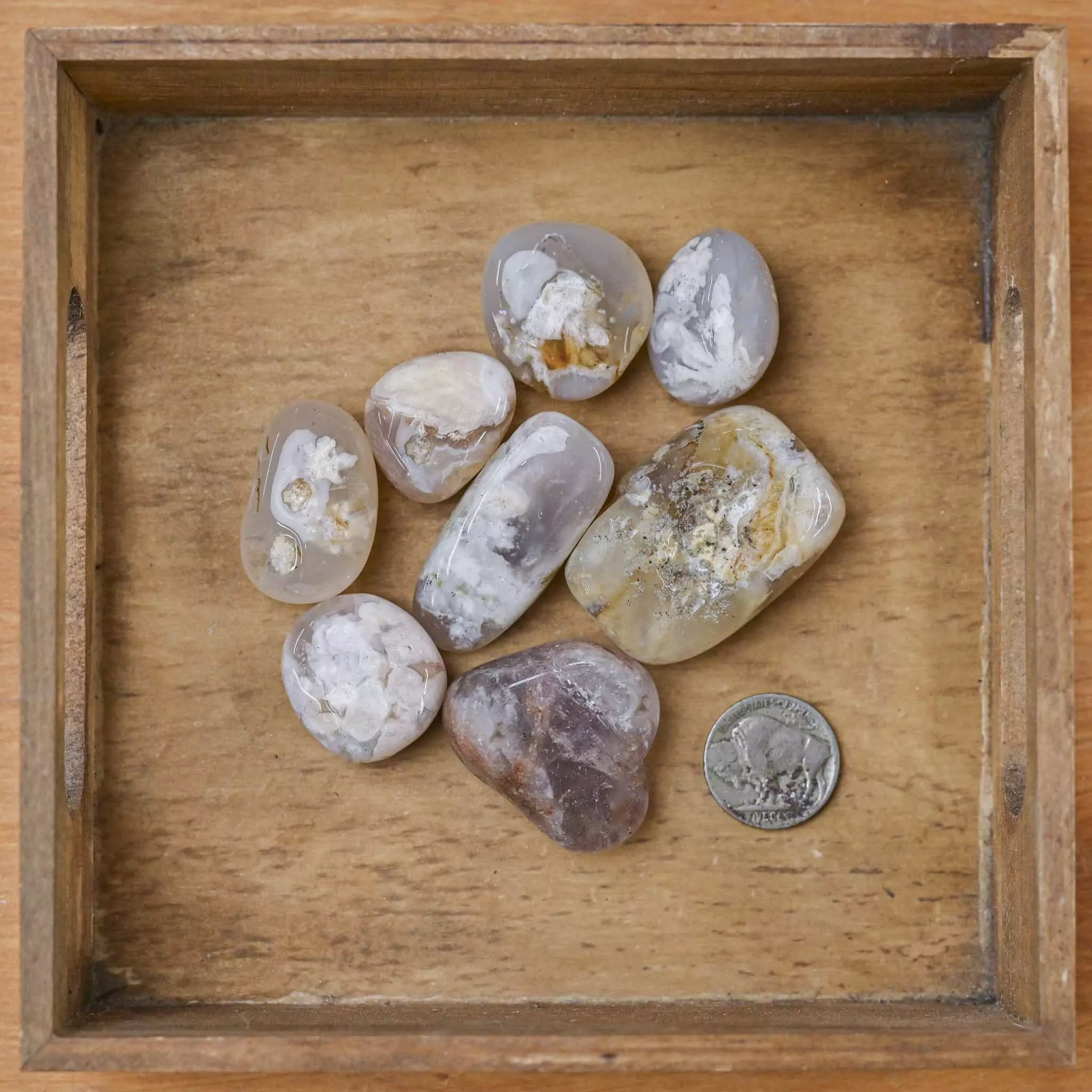 Tumbled Flower Agate (1 Stone)