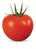 Tycoon F1 Beefsteak Tomato (TY)
