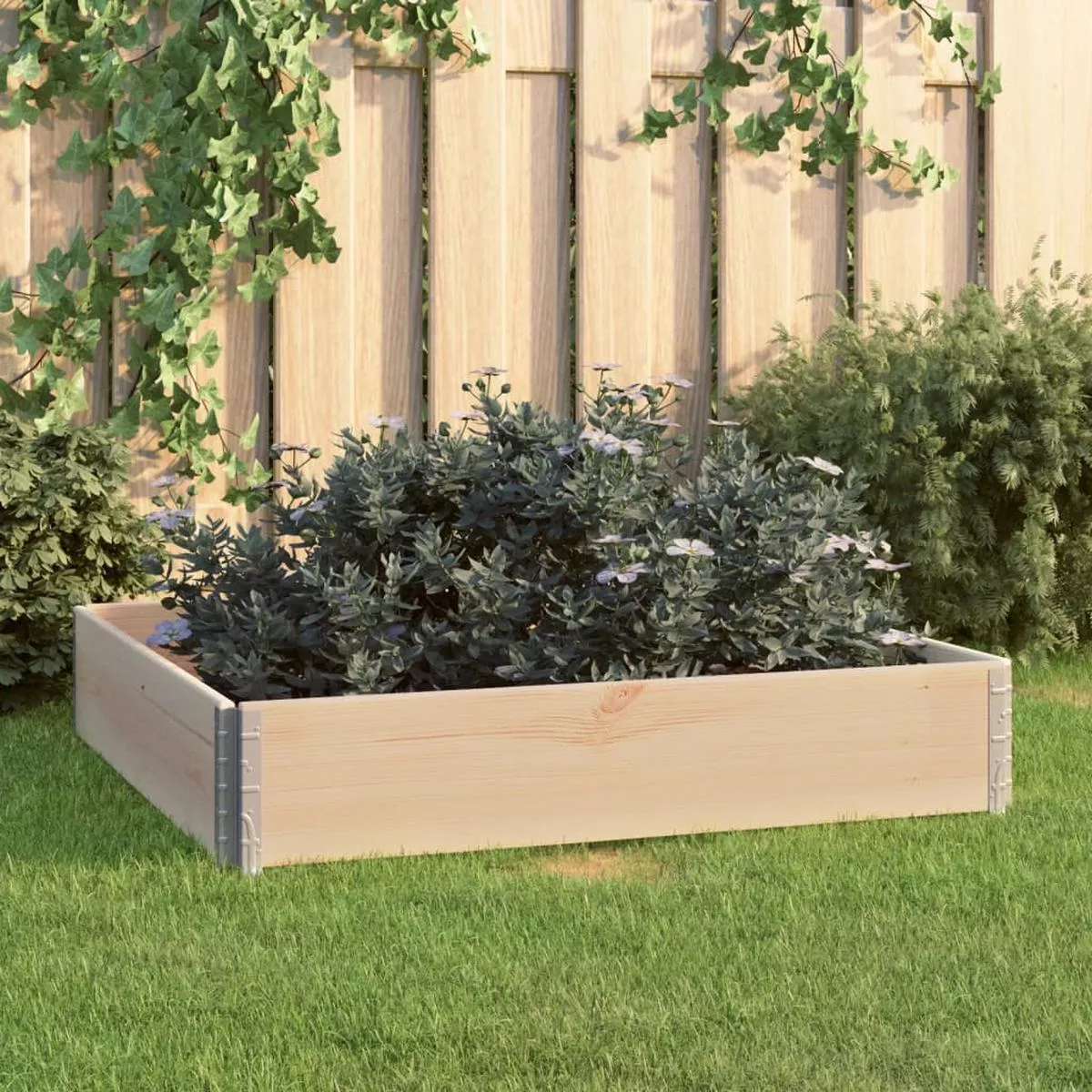 vidaXL Raised Bed 100×100 cm Solid Pine Wood (310056 )