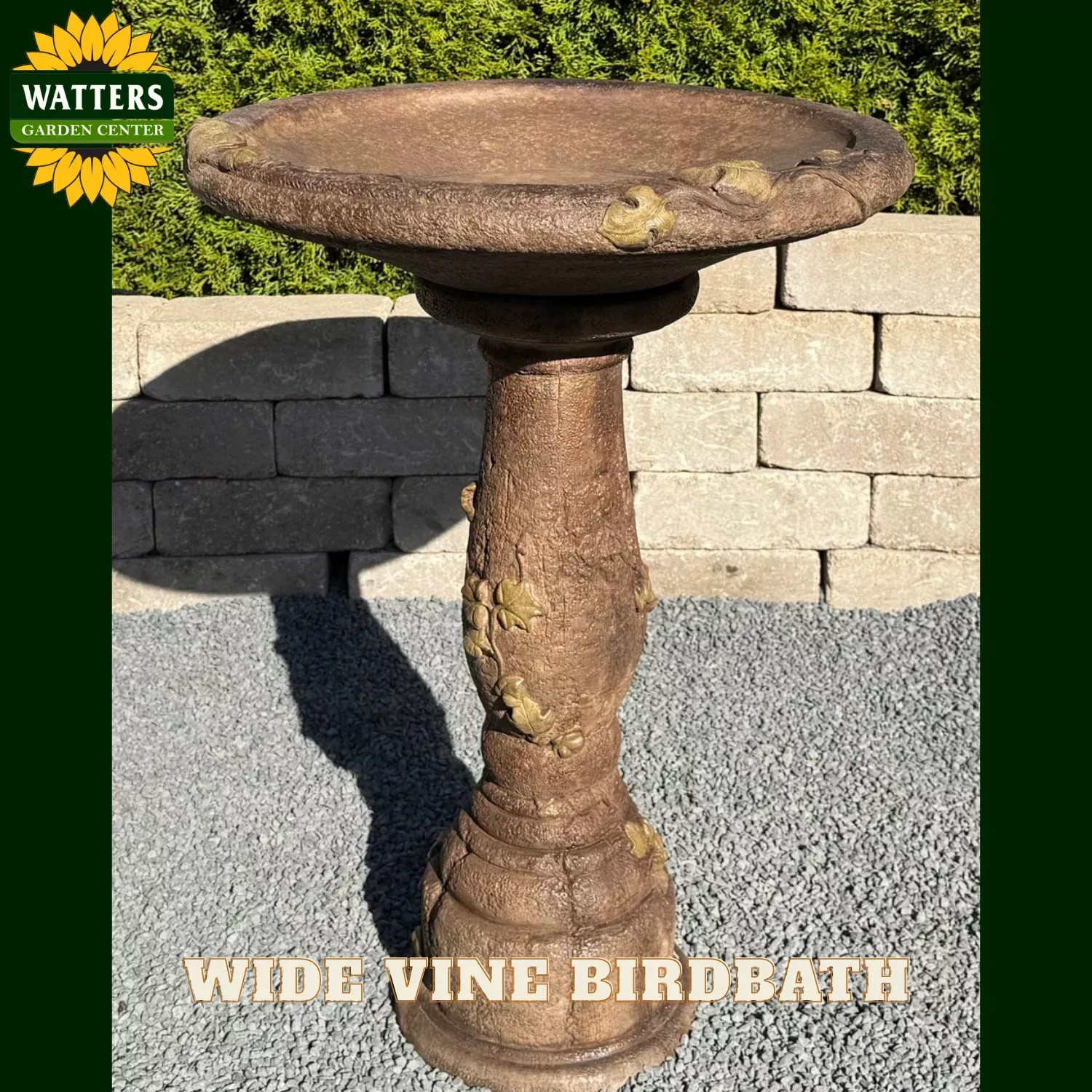 WIDE VINE BIRDBATH
