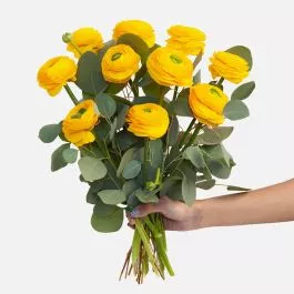 Yellow Ranunculus Bouquet