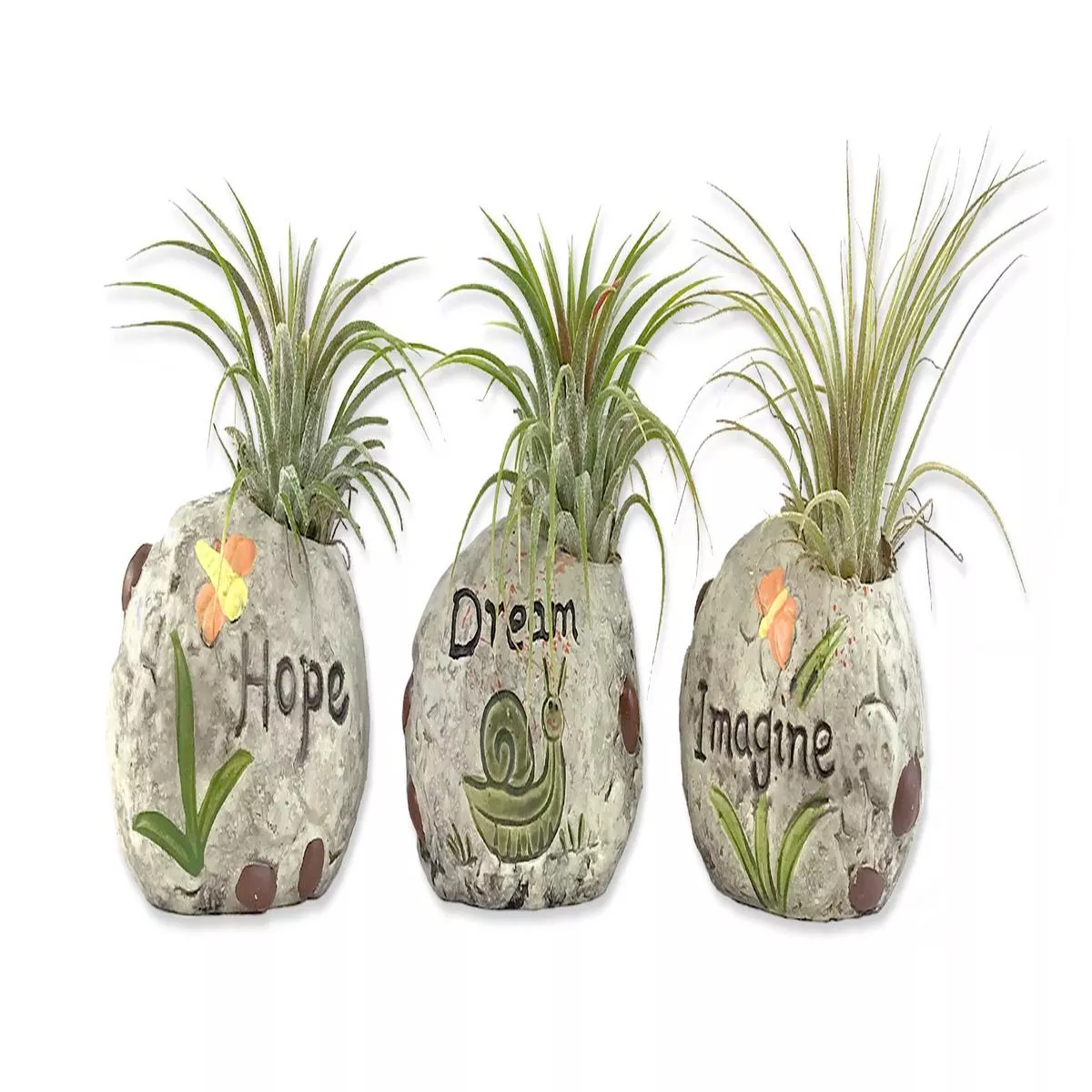 Zen Harmony Air Plant Set – Live Air Plants in Decorative Pots – Hope | Dream | Imagine – Cactus | Succulent | Air Plant – A Symbol of Serenity and Natural Beauty (3 Pack)
