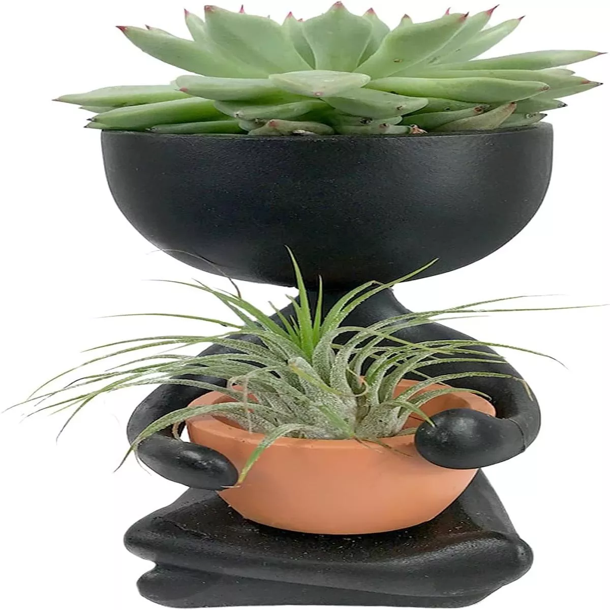 Zen Harmony Planter – Live Plants in a Decorative Pot – Cactus Succulent Air Plant – A Symbol of Serenity and Natural Beauty