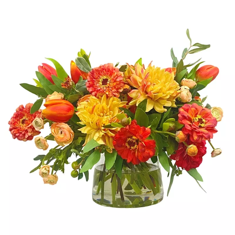 Zinnia Dahlia in Vase 16″