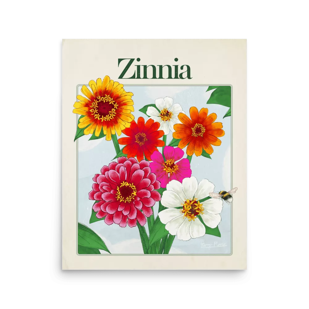 Zinnia Flowers Poster, 16″×20″