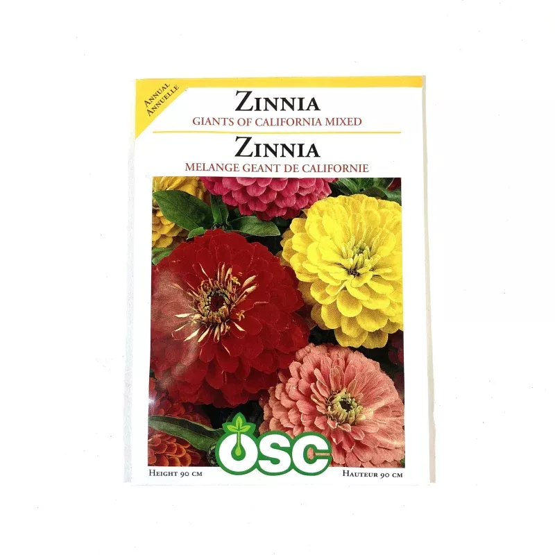 Zinnia – Giants of California Mixture Seeds, OSC